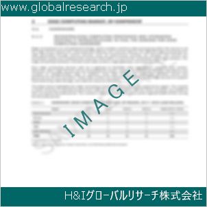 グローバルリサーチ調査資料のイメージ